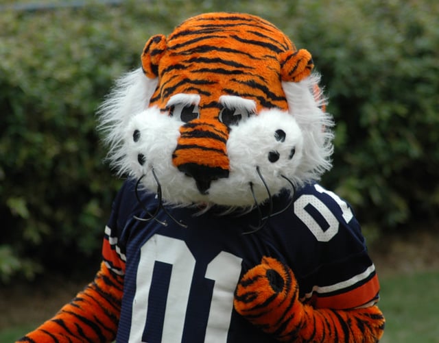 Aubie, the Auburn University Tiger Mascot