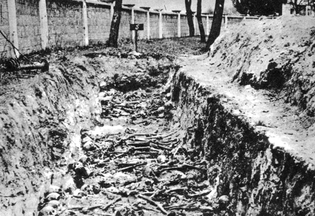 Mass grave of Soviet POWs, killed by Germans in a prisoner-of-war camp in Dęblin, German-occupied Poland