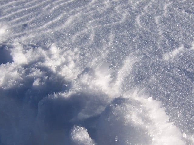 Fresh snow beginning to metamorphose: The surface shows wind packing and sastrugi. In the foreground are hoar frost crystals, formed by refrozen water vapor emerging to the cold surface.