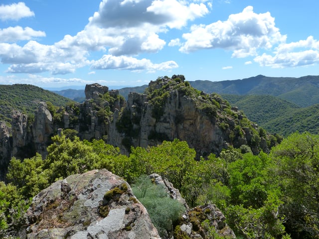 Sulcis Regional Park, the European largest Mediterranean evergreen forest