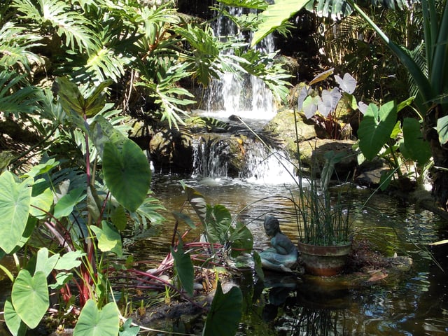 Marie Selby Botanical Gardens
