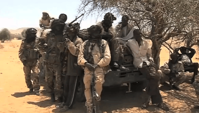 Pro-government militia in Darfur. (2013)