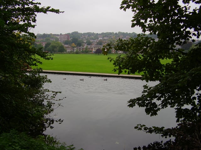 The Dyke, with the Rye beyond