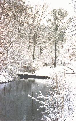 A snowstorm paints a winter scene near Lake Tuscaloosa.