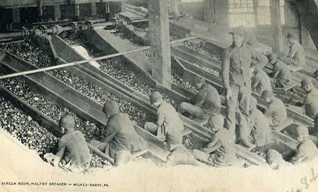 Children working in Wilkes-Barre's coal industry (1906)
