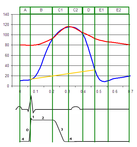 Partial Wiggers diagram.Red = aortic pressureBlue = left ventricular pressureYellow = left atrial pressure.