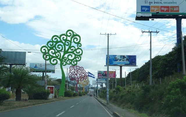 Trees of Life installation on the streets of Managua