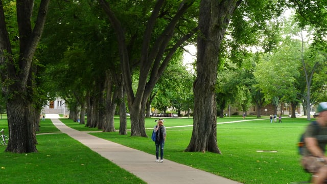The Oval, at the heart of the CSU campus