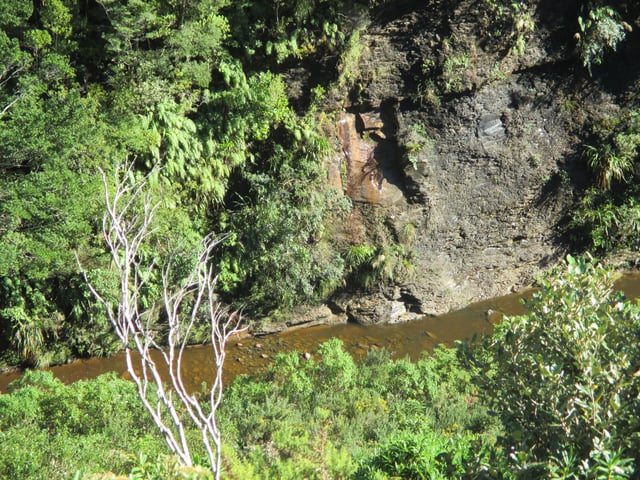 The river bed at the Moody Creek Mine, 7 Mile Creek / Waimatuku, Dunollie, New Zealand contains evidence of a devastating event on terrestrial plant communities at the Cretaceous–Paleogene boundary, confirming the severity and global nature of the event.