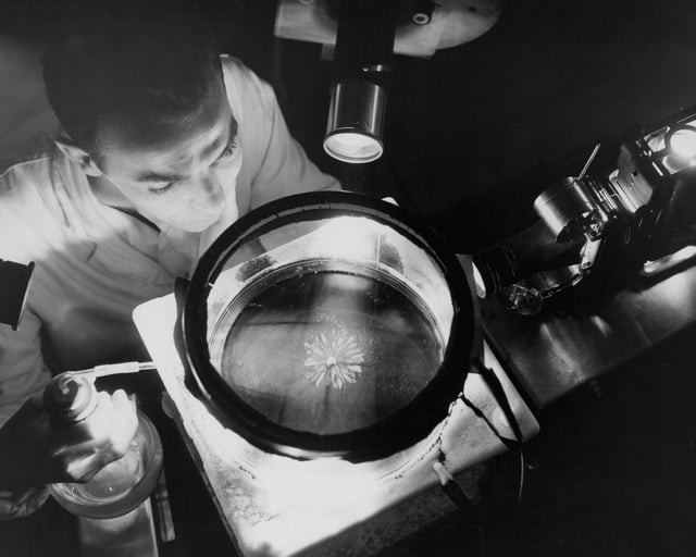 A physicist observes alpha particles from the decay of a polonium source in a cloud chamber
