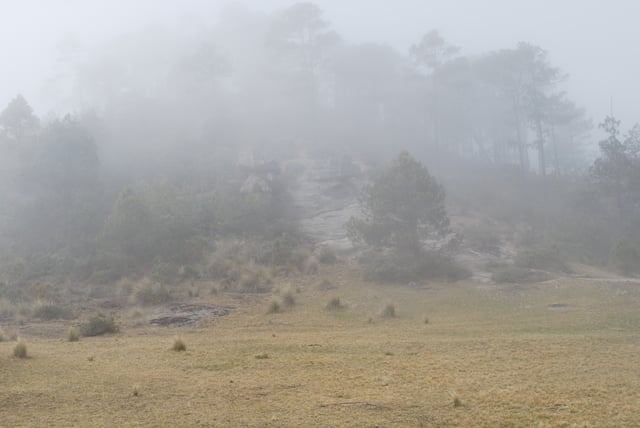 Fog in the mountains near Zacatlán