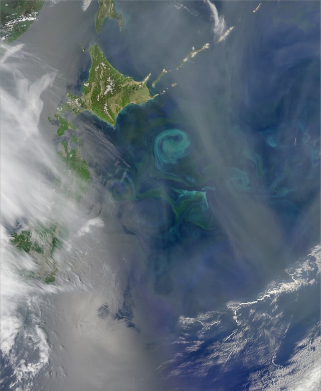 The Oyashio Current colliding with the Kuroshio Current off the coast of Hokkaido. When two currents collide, they create eddies. Phytoplankton growing in the surface waters become concentrated along the boundaries of these eddies, tracing out the motions of the water.