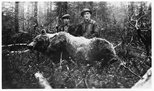 Hunters with shot bear, Sweden, early 20th century.