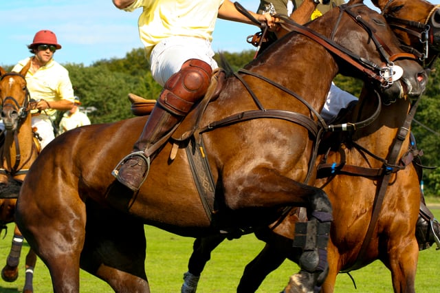 Polo player wearing kneepads, "riding off" an opponent