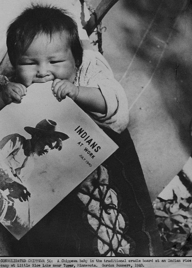 Chippewa baby waits on a cradleboard while parents tend rice crops (Minnesota, 1940).