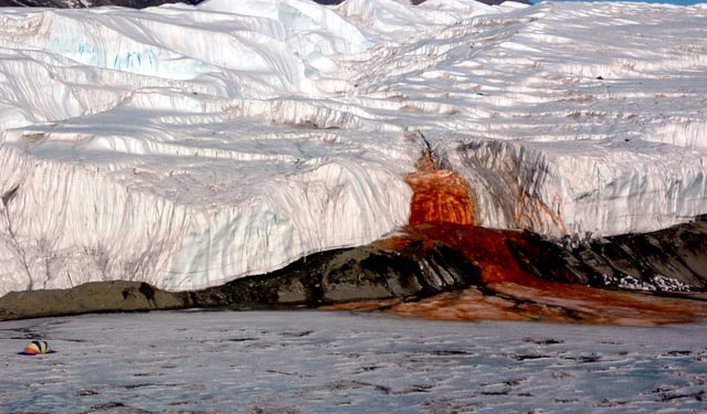 Red fluid pours out of Blood Falls at Taylor Glacier. The colour derives from iron oxides.