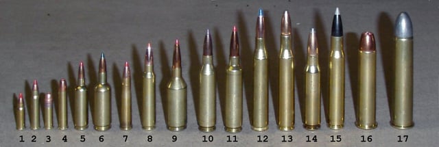 A variety of rifle cartridges: (1).17 HM2 (2).17 HMR (3).22LR (4).22 Win Mag R/F.22 WMR (5).17/23 SMc (6)5mm/35 SMc (7).22 Hornet (8).223 Remington (9).223 WSSM (10).243 Win (11).243 Win Improved (Ackley) (12).25-06 Remington (13).270 Winchester (14).308 Win (15).30-06 Springfield (16).45-70 Government (17).50-90 Sharps