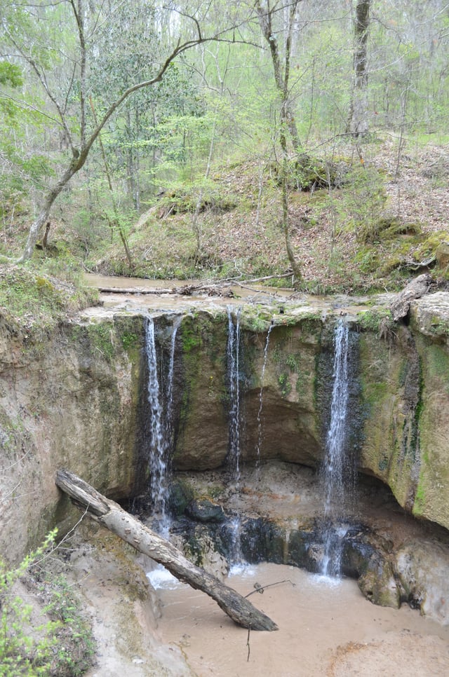 Waterfall at Clark Creek Natural Area, in the deep loess region of western Wilkinson County