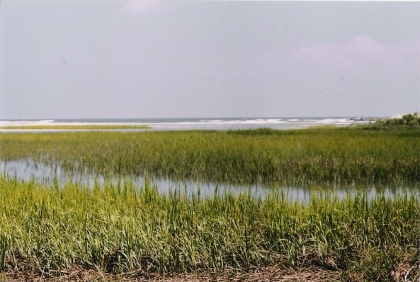 Looking over the tidal marsh to the Folly