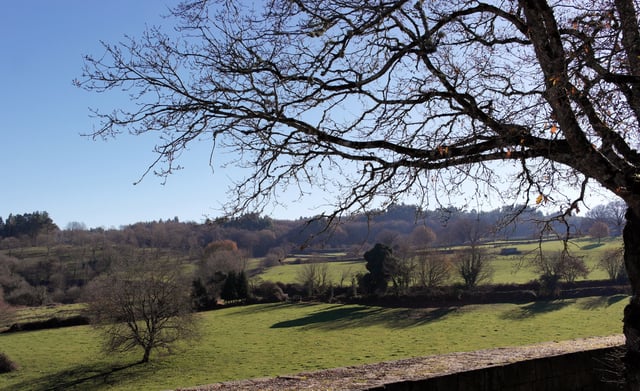 Meadows in Pambre, Palas de Rei