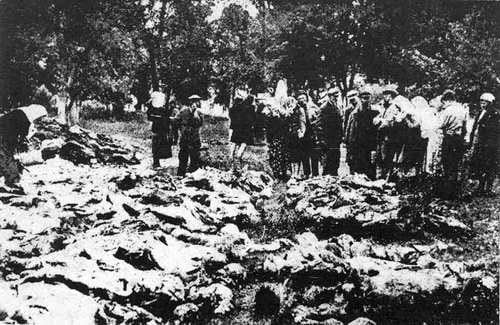 Exhumed mass grave of the Vinnytsia massacre