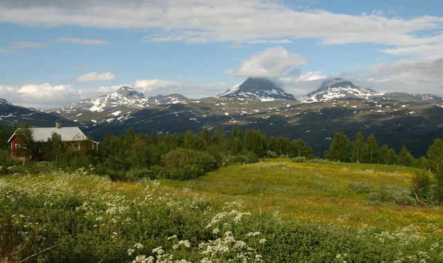 Early July and summer in the highlands at Jakobsbakken, near Sulitjelma.