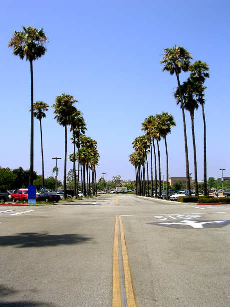 Del Amo Fashion Center, one of the largest malls in the United States