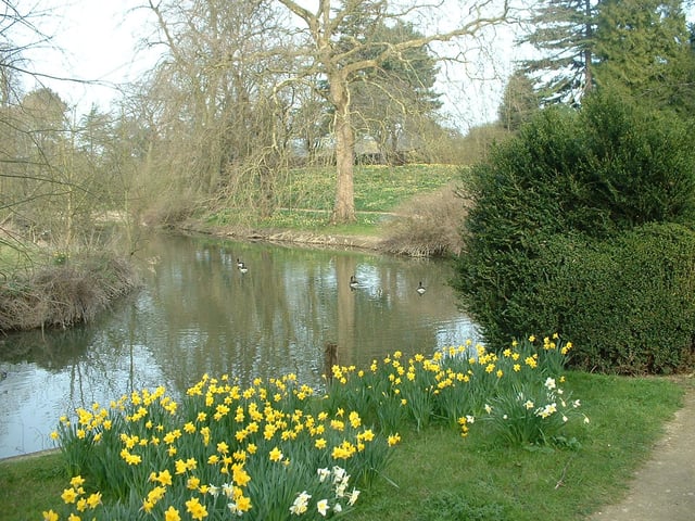 The Fellows' Garden