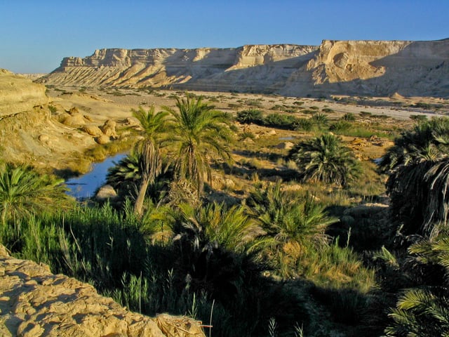 An Omani desert landscape