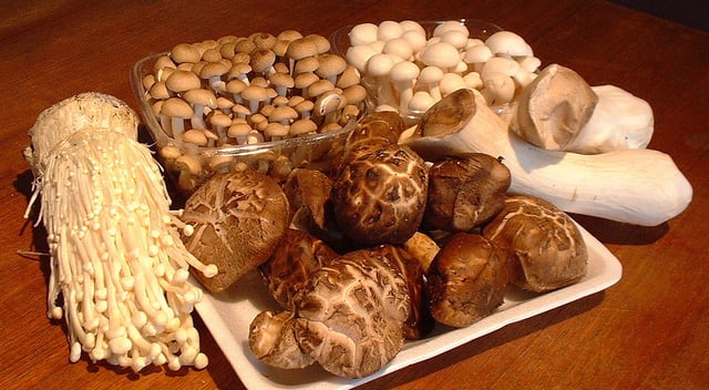 A selection of edible mushrooms eaten in Asia