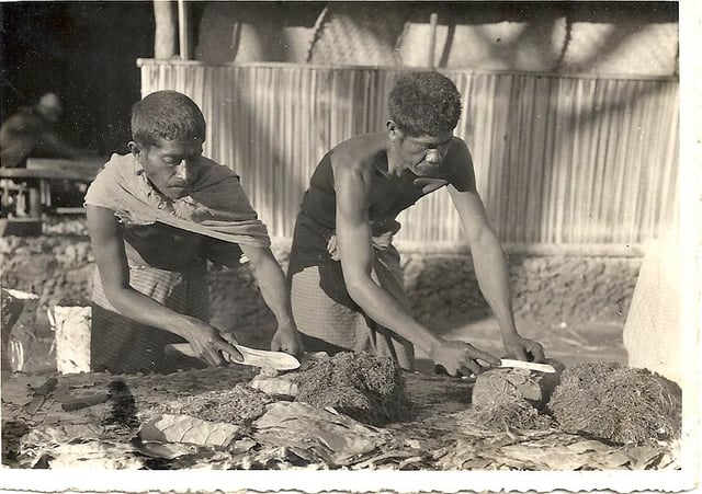 Tobacco production in Portuguese Timor in the 1930s