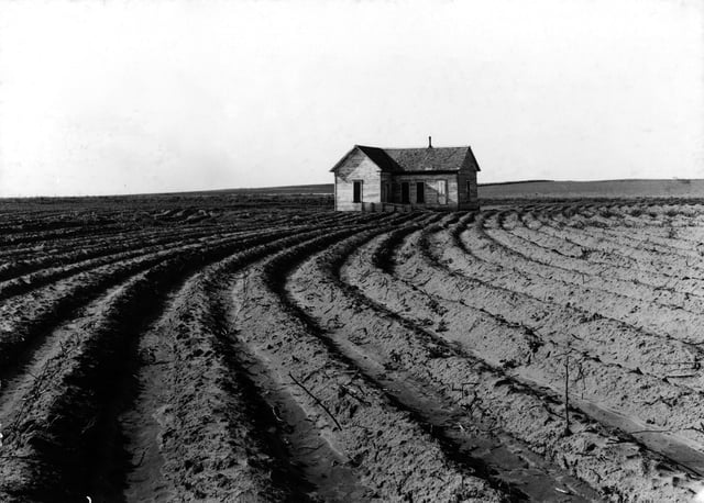 Power farming displaces tenants from the land in the western dry cotton area. Childress County, Texas, 1938