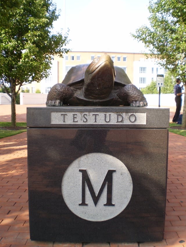 Statue of Testudo on campus