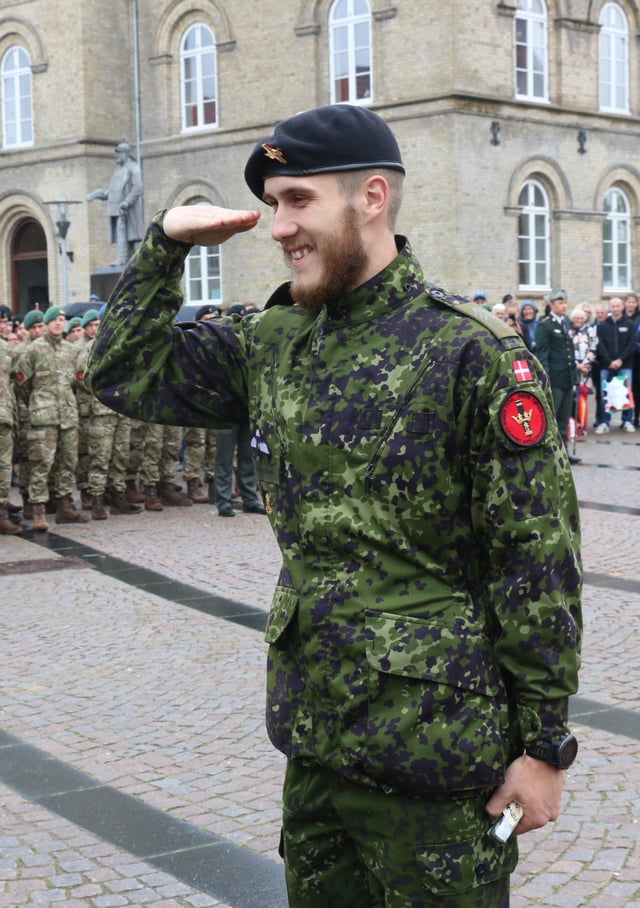 Danish Army Salute