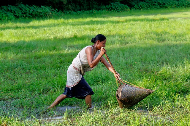 Assamese woman with traditional fish catching device made from bamboo