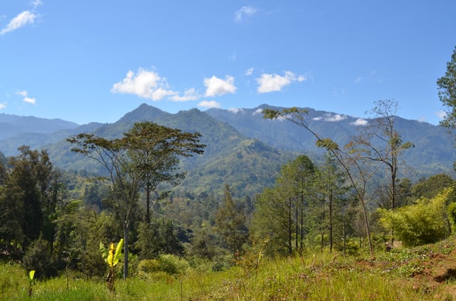 Papua New Guinea's highlands