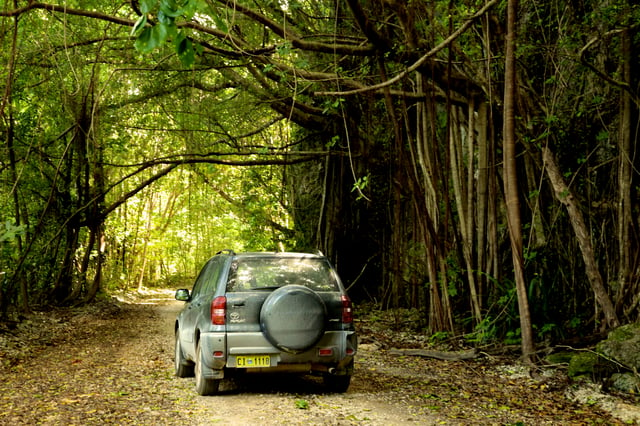 Car moving across the backroads of Christmas Island