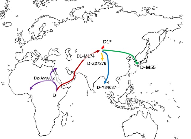 Migration route of paternal haplogroup D