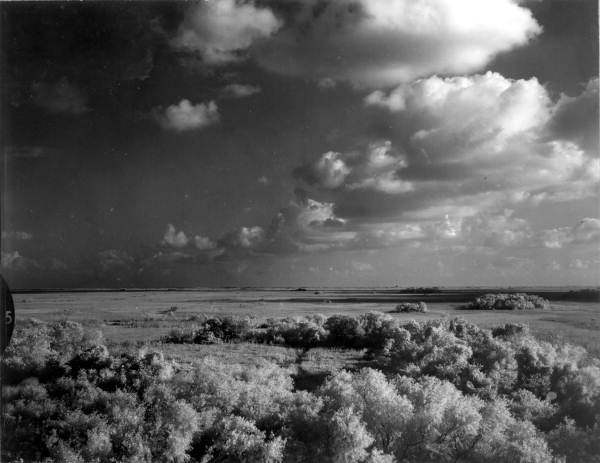 A storm over the Shark River in the Everglades, 1966Photo:Charles Barron / State Library and Archives of Florida