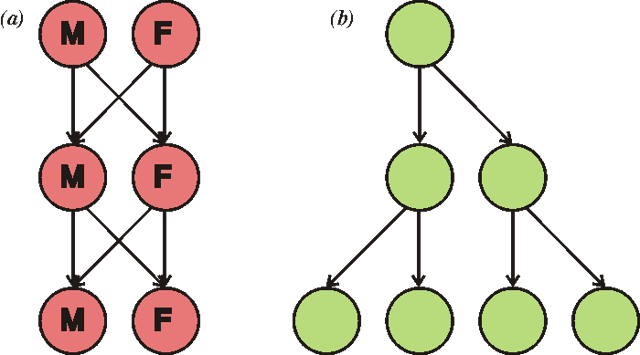 This diagram illustrates the twofold cost of sex. If each individual were to contribute to the same number of offspring (two), (a) the sexual population remains the same size each generation, where the (b) asexual population doubles in size each generation.