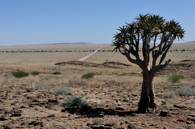 Namibia is primarily a large desert and semi-desert plateau.