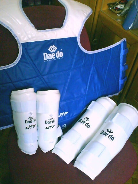 Official WT trunk protector (hogu), forearm guards and shin guards