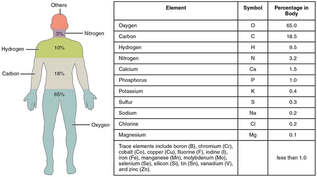 Elements of the human body by mass. Trace elements are less than 1% combined (and each less than 0.1%).
