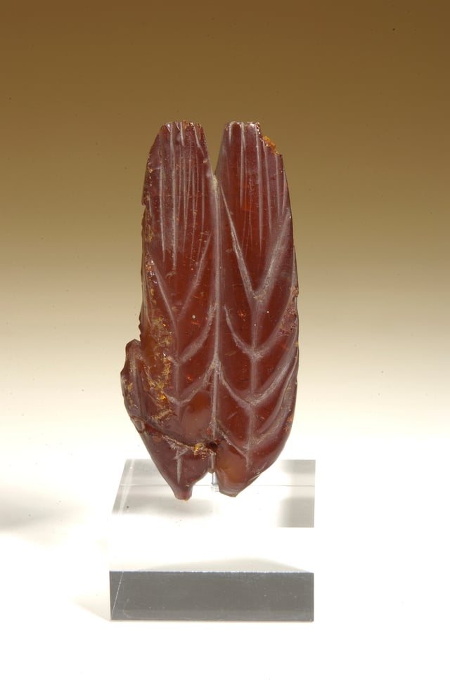 amulet, amber, with ear of wheat, Roman period (69-96 AD)