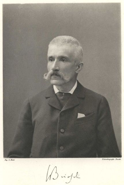 Francesco Brioschi (1824-1897), founder and first rector of the Polytechnic University of Milan.