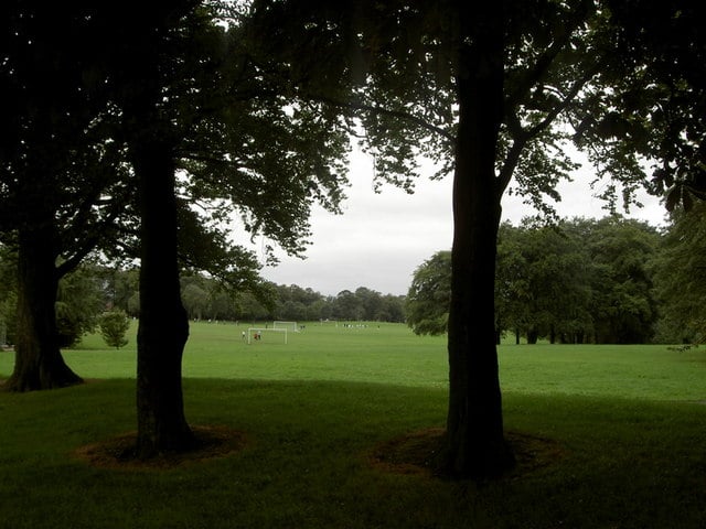 Moor Park