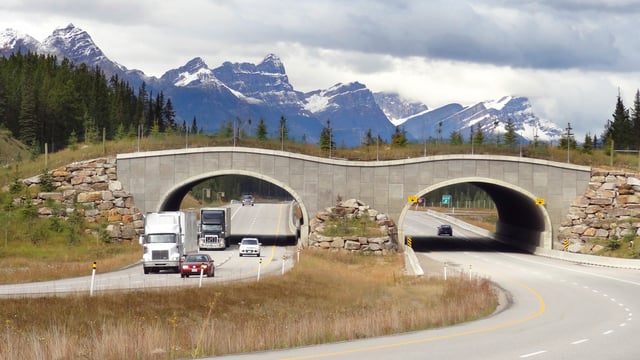 A wildlife crossing on the Trans-Canada Highway. The highway splits into two major east-west corridors while in Alberta.