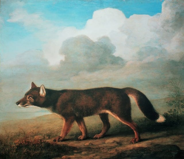 "Portrait of a Large Dog from New Holland" by George Stubbs, 1772. National Maritime Museum, Greenwich.