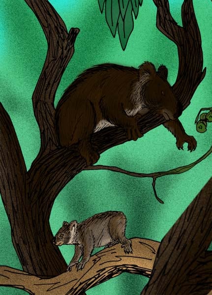 Reconstructions of the ancient koalas Nimiokoala (larger), and Litokoala (smaller), from the Miocene Riversleigh Fauna