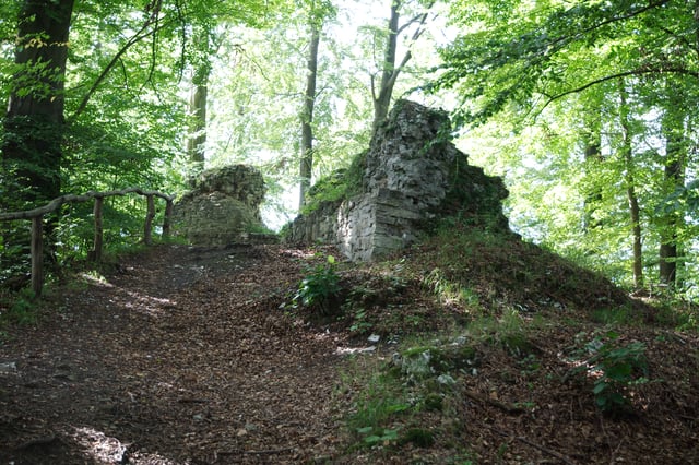 Ruins of Castle Sachsenstein, one of the royal fortresses built in Saxony in the early 1070s